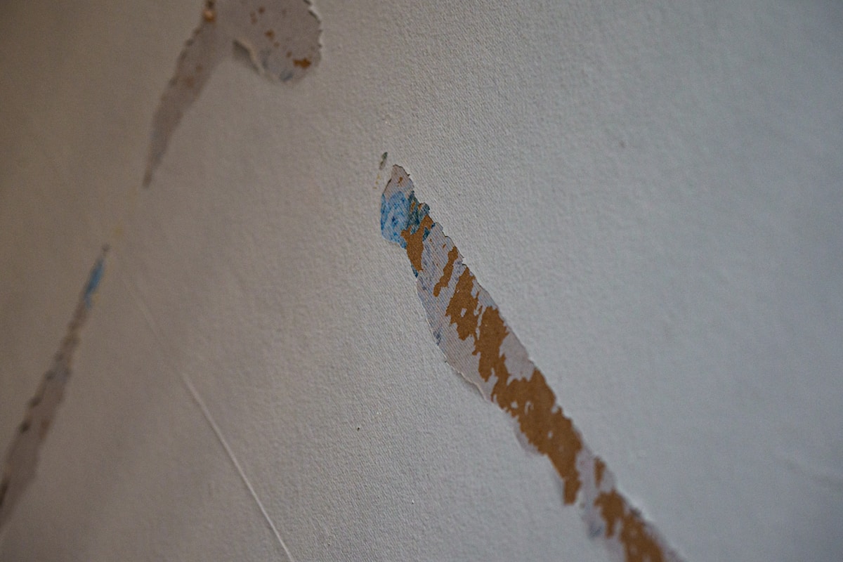 Sewage Cleanup service in Greensboro, NC